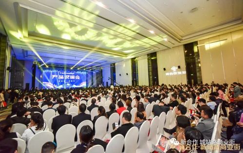 新合作·城站路商业街产品说明会圆满落幕 众商云集 大势已成 展览展示承新篇